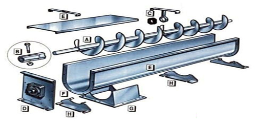 猫咪免费人成网站在线观看