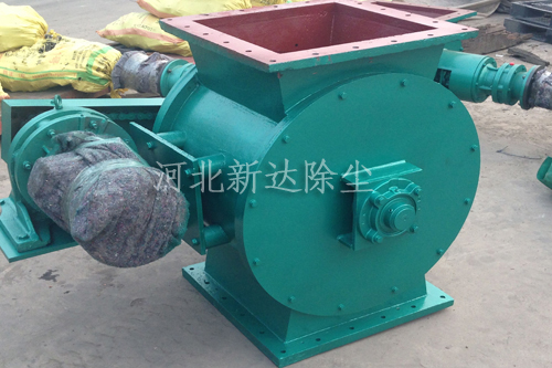 猫咪免费人成网站在线观看