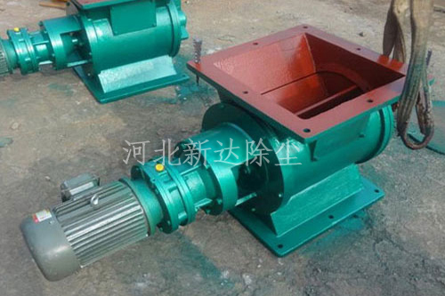 猫咪免费人成网站在线观看