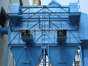 猫咪免费人成网站在线观看