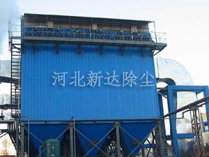 猫咪免费人成网站在线观看