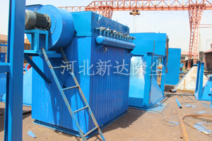 猫咪免费人成网站在线观看