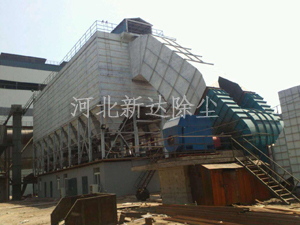 猫咪免费人成网站在线观看